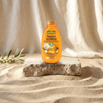 Garnier Wahre Shaetze Shampoo Argan & Camelia 200 ml