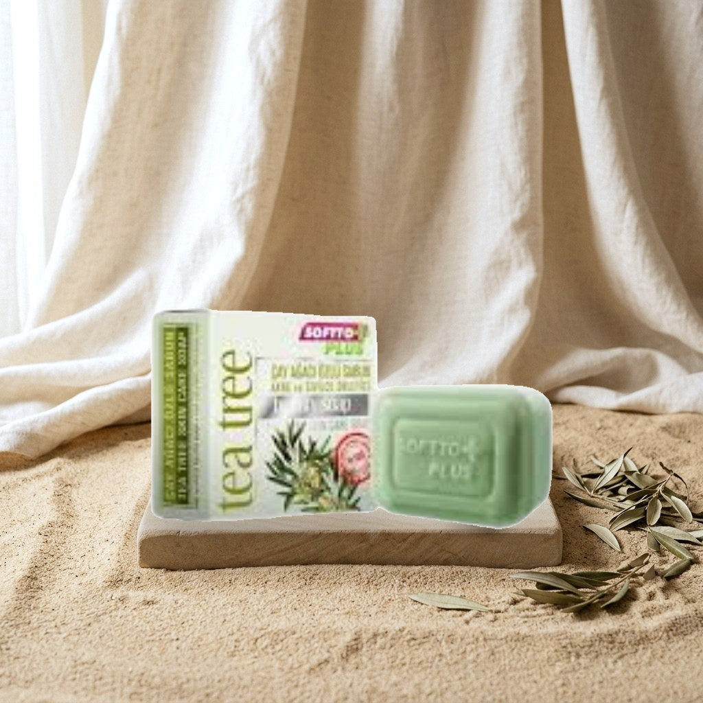 SOFTTO PLUS Tea Tree Extract Acne and Pimple Preventive Soap 100 gr